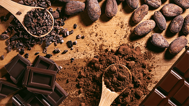 THE TASTES & FLAVORS OF FINE CHOCOLATE (w/ interactive demo)