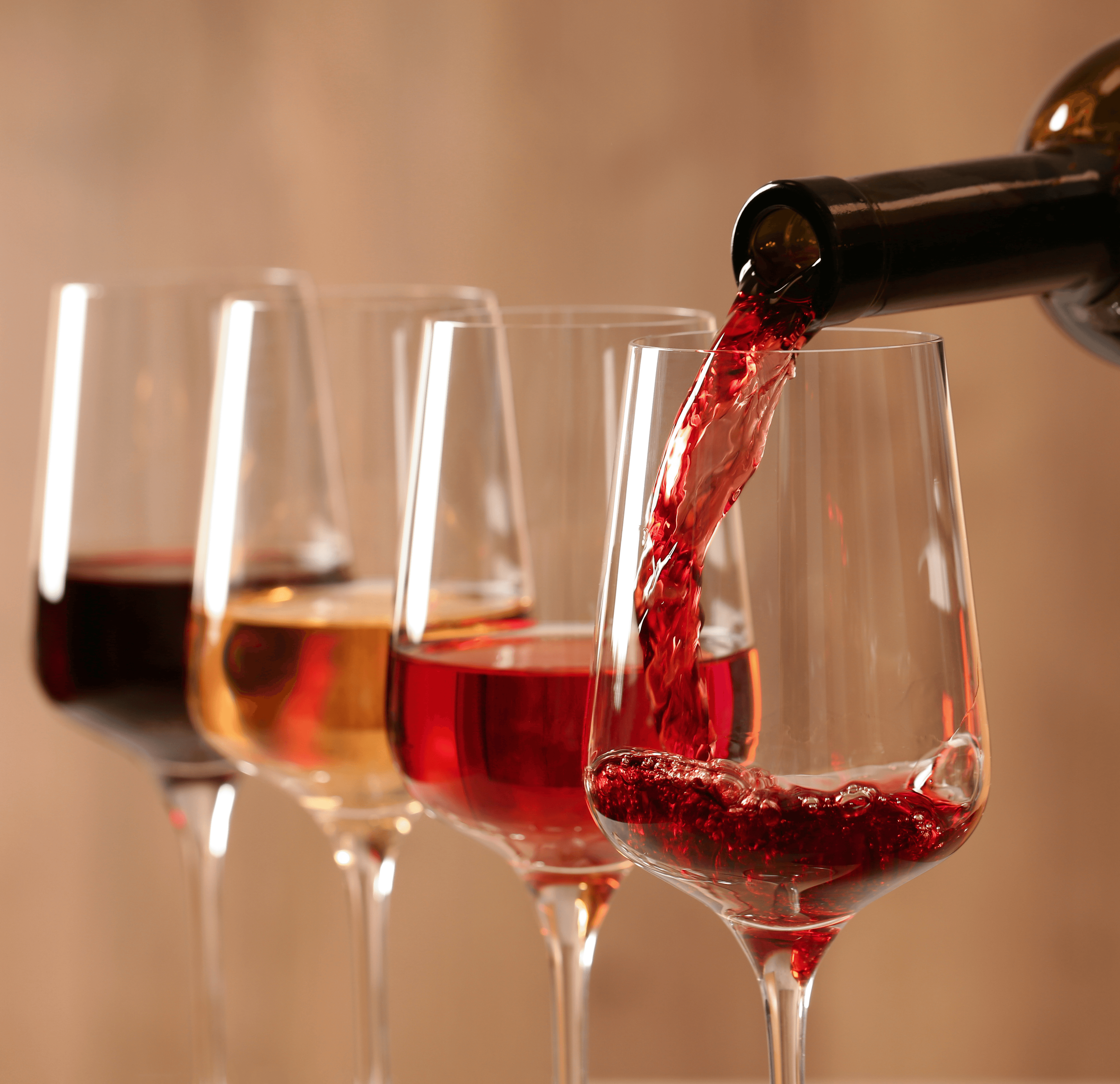 LEARN - TASTE - ENJOY